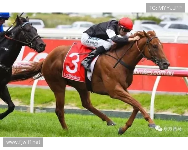 富里睡醒发现自家马场又多了一匹纯血马，账单比对手的拳头还狠